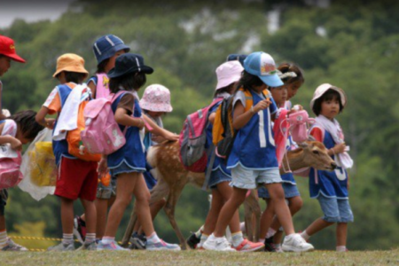 niños en excursión escolar