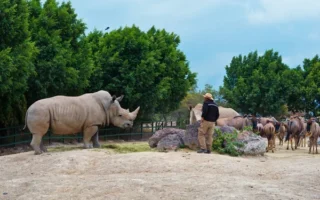 Animales en Puebla