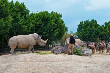 Animales en Puebla