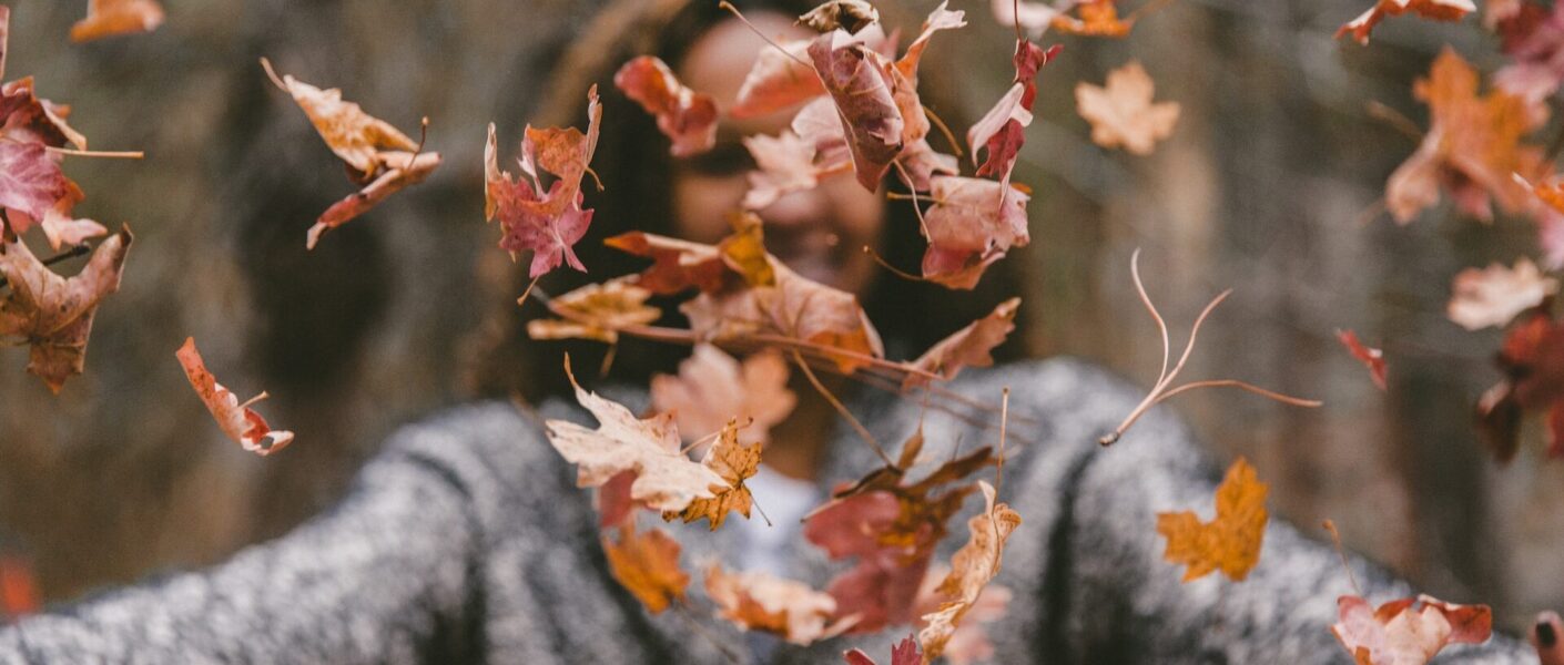 Hojas de otoño
