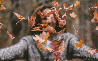 Hojas de otoño