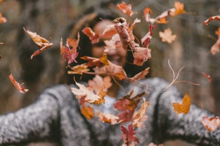 Hojas de otoño